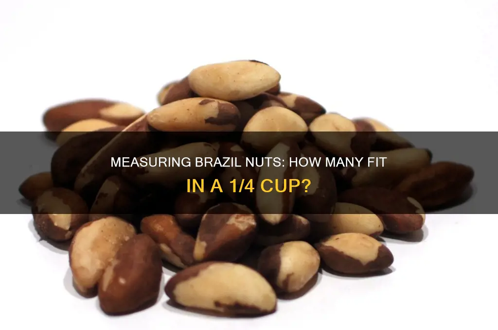 how many brazil nuts in 1 4 cup