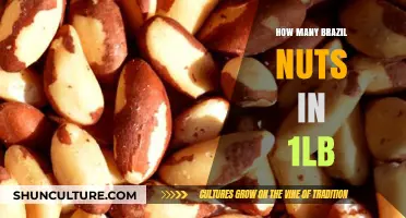 Brazil Nuts by the Pound: Counting the Quantity in 1lb