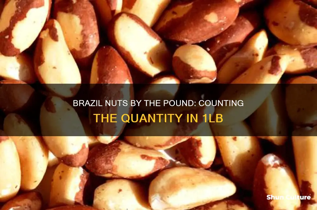 how many brazil nuts in 1lb