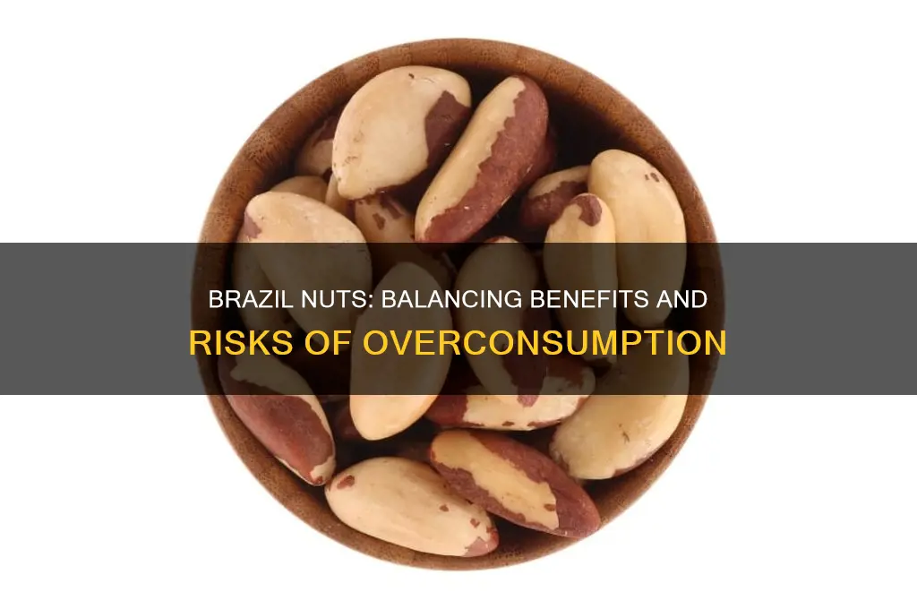 how many brazil nuts is too many