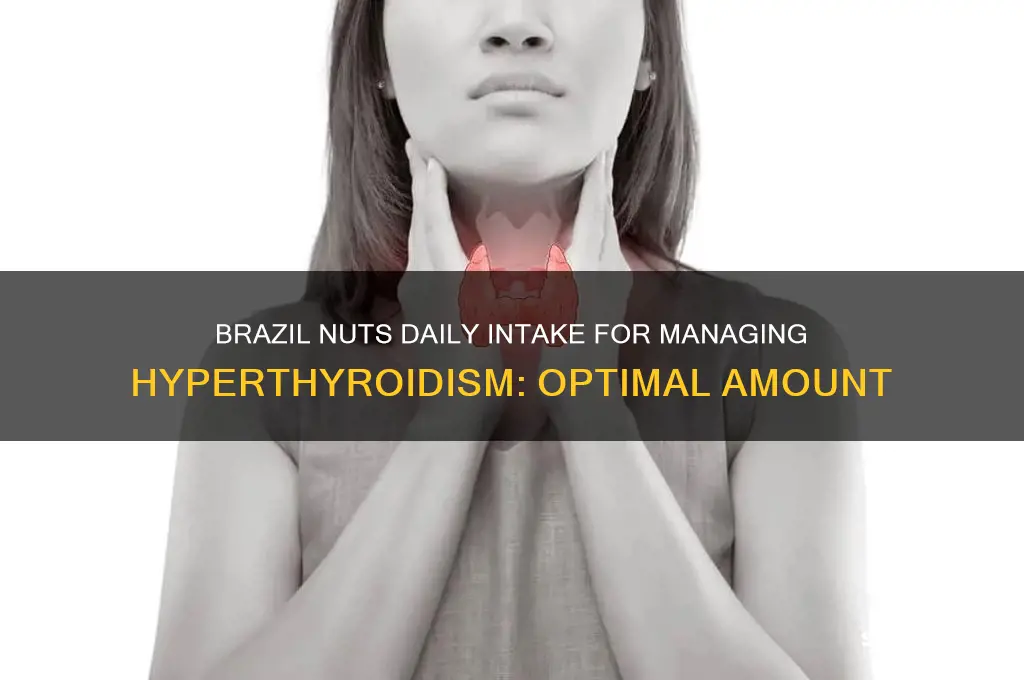how many brazil nuts per day for hyperthyroidism