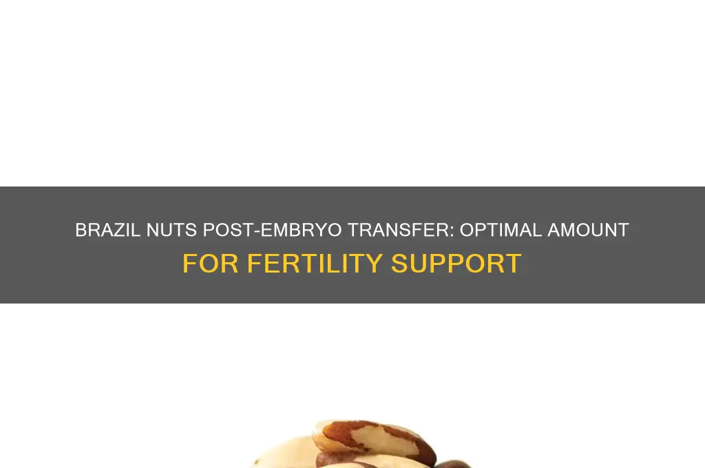 how many brazil nuts to eat after embryo transfer