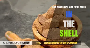 Brazil Nuts in Shell: Pound Quantity and Shell Weight Explained
