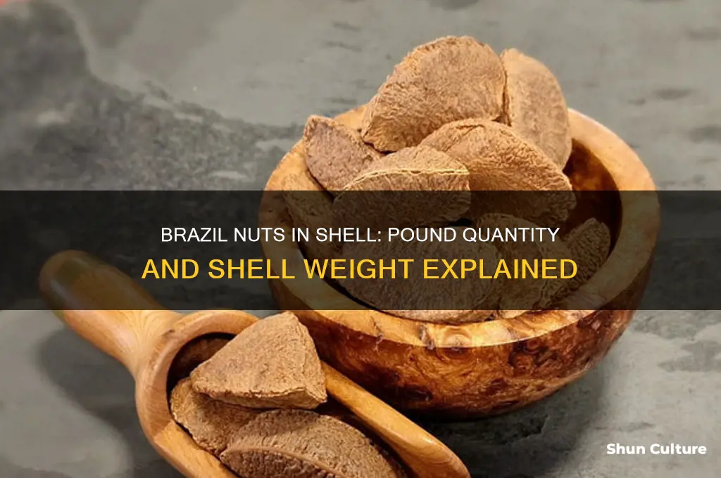how many brazil nuts to the pound in the shell