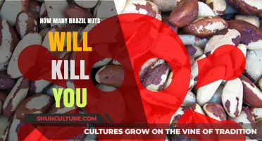 Brazil Nuts: Lethal Dose or Harmless Snack? Find Out Now