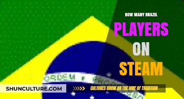 Exploring the Presence of Brazilian Gamers on Steam Platform