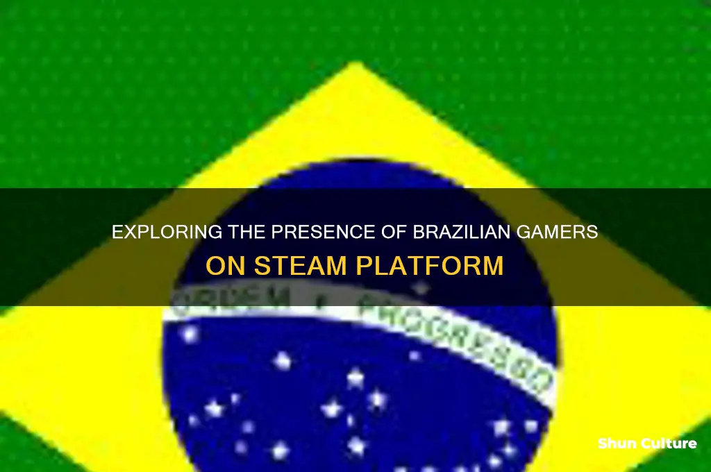 how many brazil players on steam