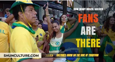 Exploring the Global Passion: How Many Brazil Soccer Fans Exist?