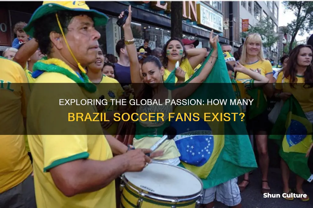 how many brazil soccer fans are there