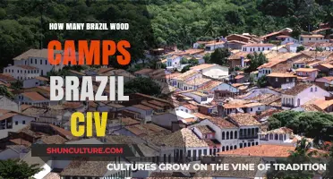 Exploring Brazil's Wood Camps in Civilization Games: A Comprehensive Guide