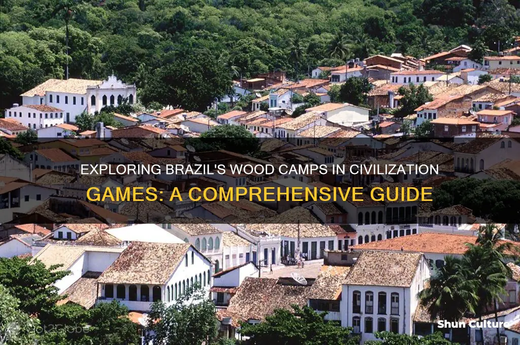 how many brazil wood camps brazil civ