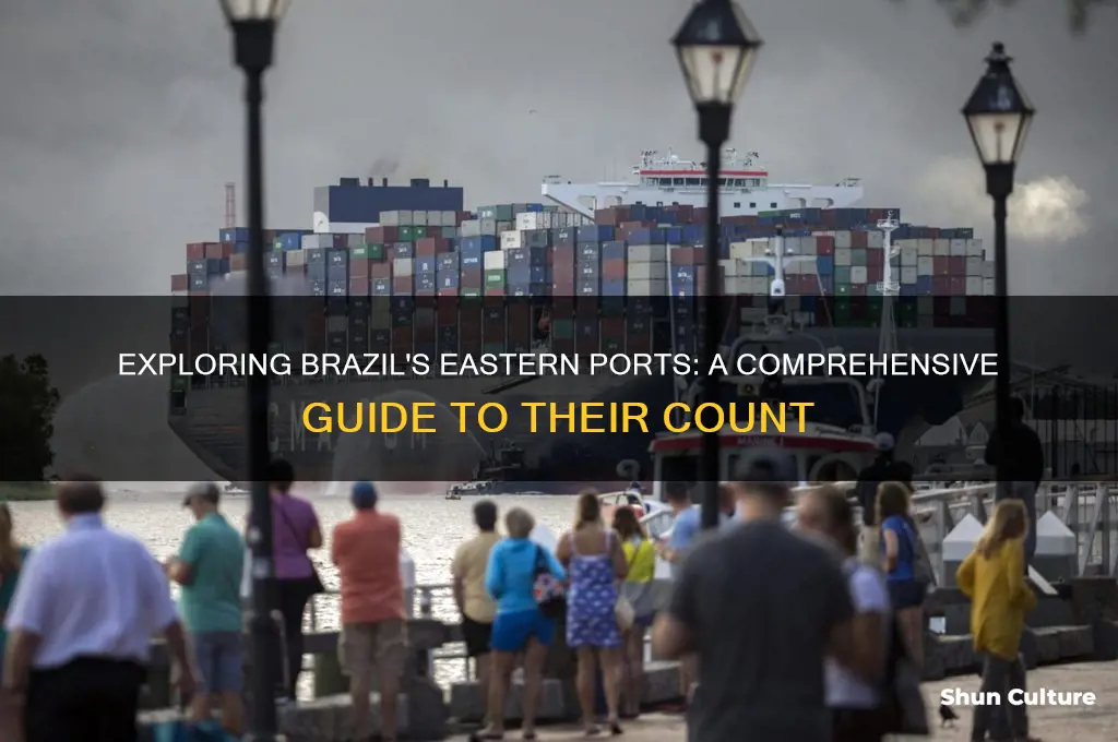 how many brazils eastern ports
