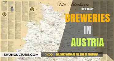 Exploring Austria's Craft Beer Scene: A Brewery Count Guide