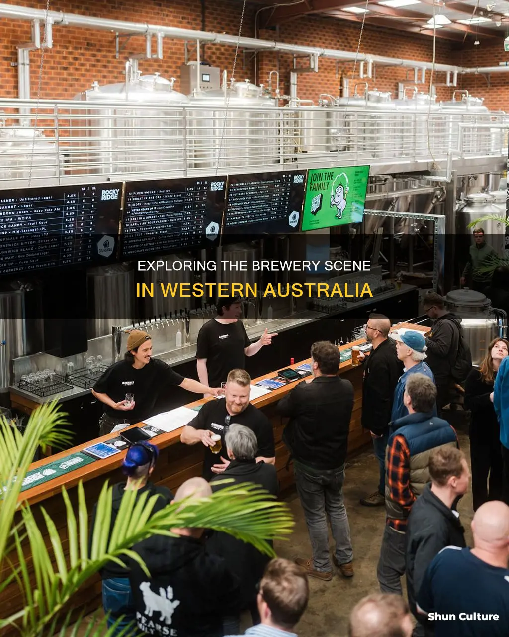 how many breweries in western australia