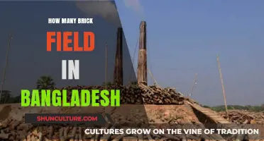 Exploring Bangladesh's Brick Industry: Counting the Numerous Brick Fields