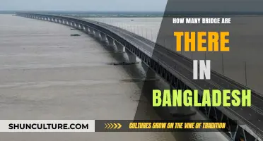 Exploring Bangladesh's Bridges: A Comprehensive Count and Overview