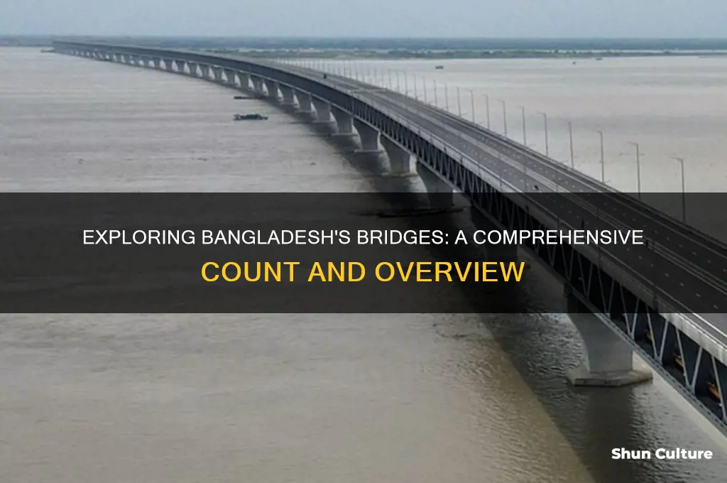 how many bridge are there in bangladesh