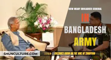 Understanding the Role and Number of Brigadier Generals in Bangladesh Army