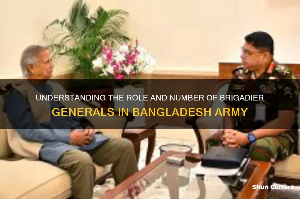 how many brigadier general in bangladesh army