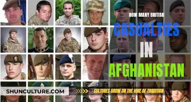 A Grim Toll: UK Casualties in Afghanistan