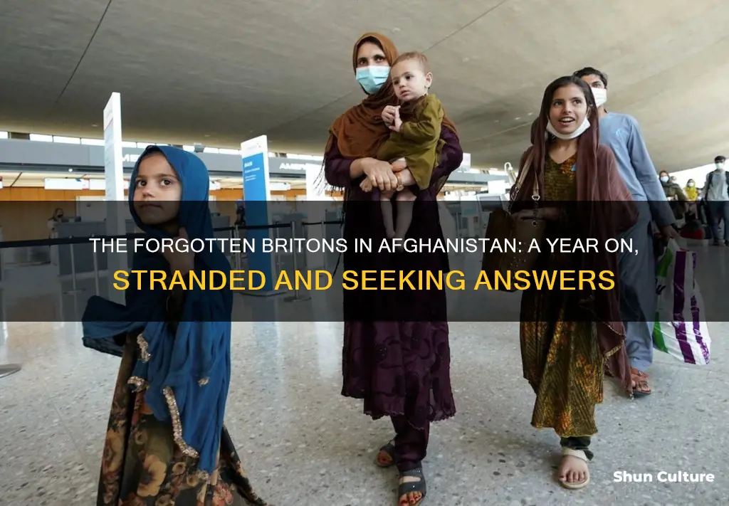 how many british citizens are still in afghanistan