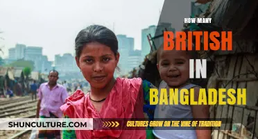 Exploring the British Community's Presence in Bangladesh Today