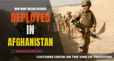 British Boots on Afghan Ground: Examining the UK's Troop Presence in Afghanistan