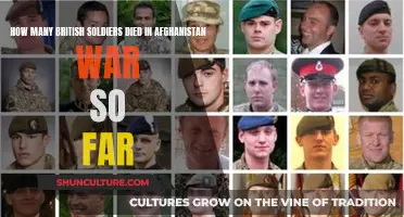 The Human Cost of War: Remembering Britain's Fallen Soldiers in Afghanistan