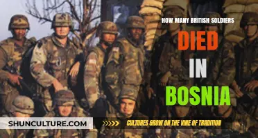 British Casualties in Bosnia: Remembering the Fallen Soldiers' Sacrifice