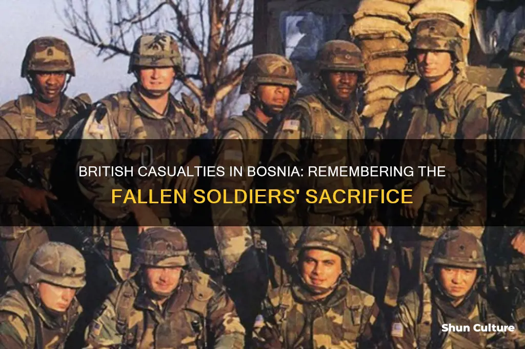 how many british soldiers died in bosnia