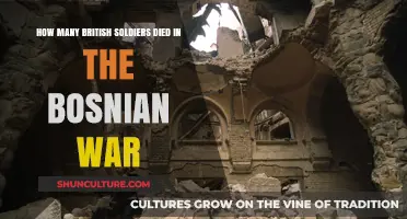 British Casualties in the Bosnian War: A Historical Overview