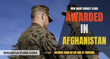 Valor and Bravery: Bronze Star Recipients in the Afghanistan War