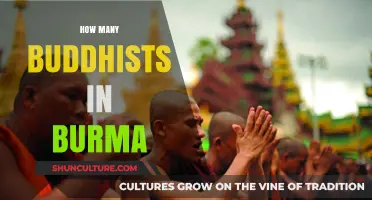 Exploring the Buddhist Population in Burma: A Demographic Insight
