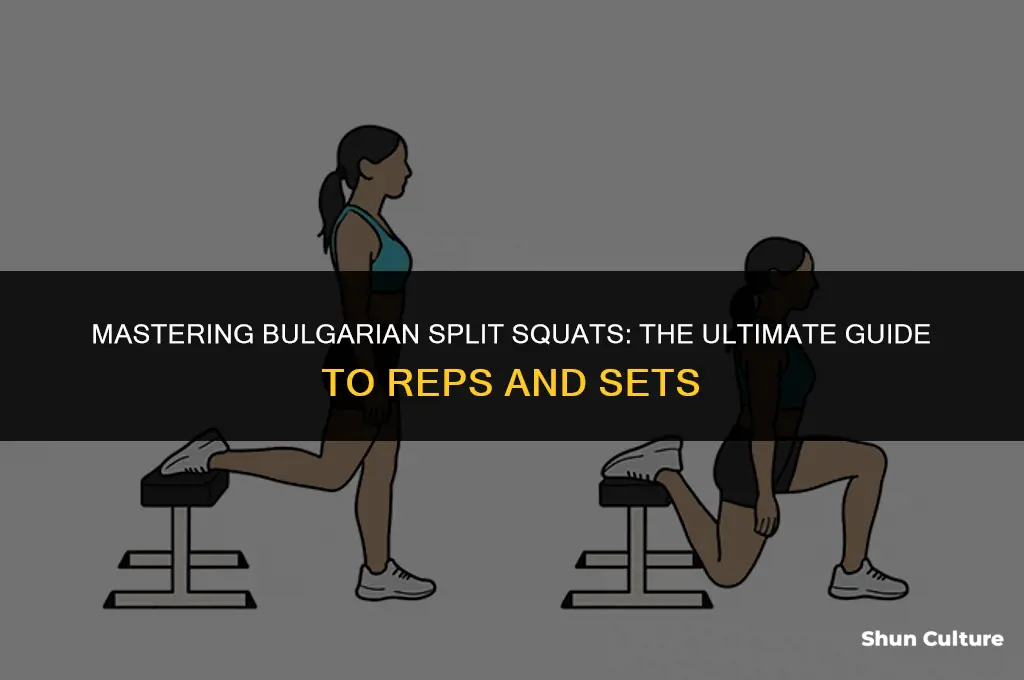 how many bulgarian split squats
