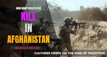 Lethal Efficiency: Examining the Bullet-to-Kill Ratio in the Afghanistan Conflict