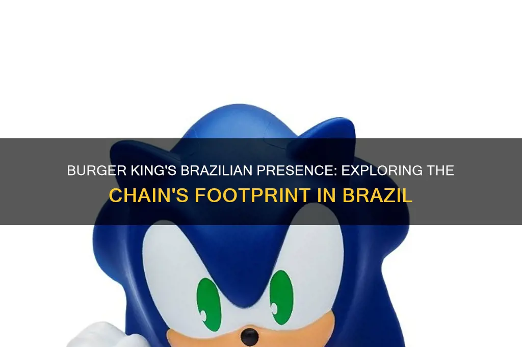how many burger kings are there in brazil