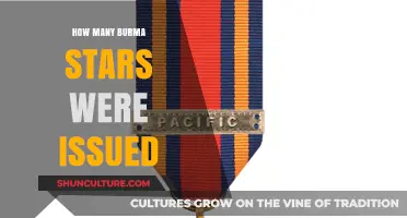 Unveiling the Mystery: The Burma Star Medal's Issuance Revealed