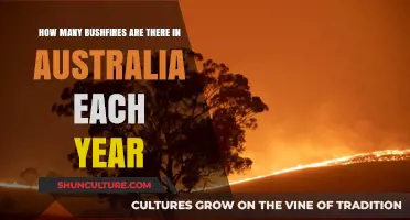 Annual Bushfire Count: Understanding Australia's Yearly Wildfire Frequency