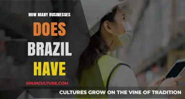 Exploring Brazil's Vibrant Business Landscape: Count, Diversity, and Economic Impact