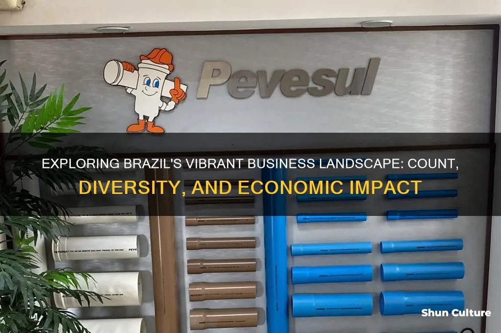 how many businesses does brazil have