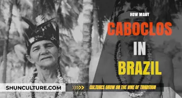 Exploring Brazil's Rich Cultural Diversity: The Count of Caboclos