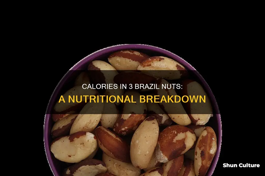 how many calories 3 brazil nuts
