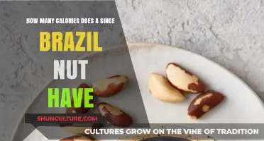 Calories in a Single Brazil Nut: Nutritional Breakdown Revealed