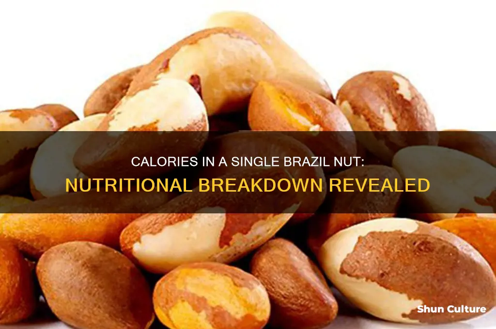 how many calories does a singe brazil nut have