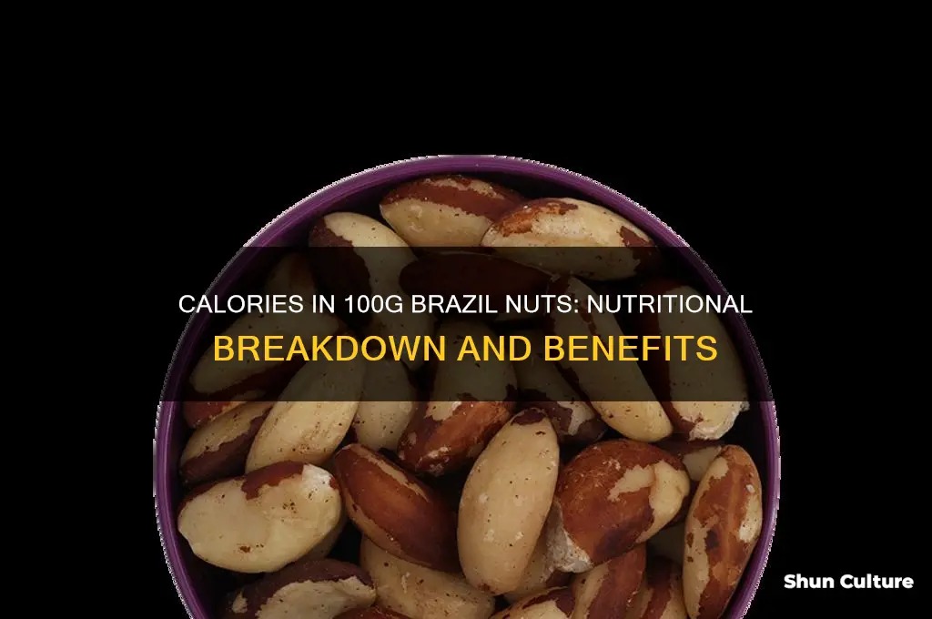 how many calories in 100g brazil nuts