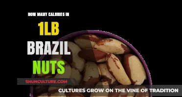 Calories in 1lb Brazil Nuts: Nutritional Breakdown and Benefits
