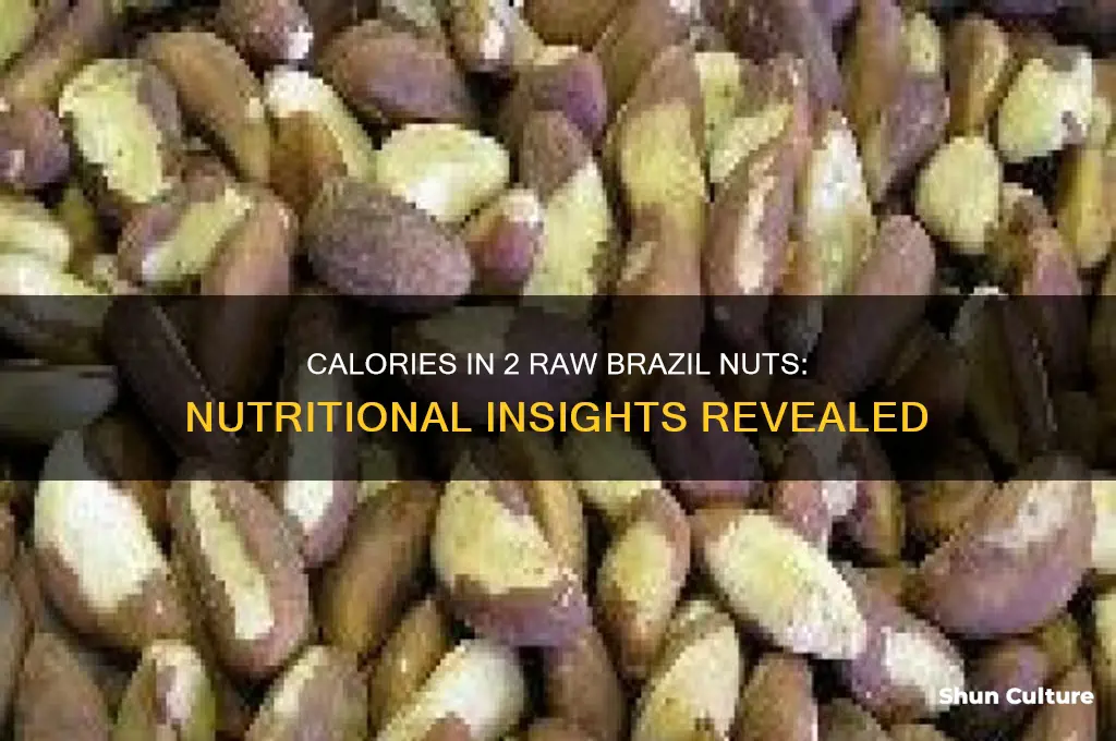 how many calories in 2 brazil nuts raw