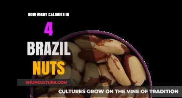 Calories in 4 Brazil Nuts: Nutritional Breakdown and Benefits