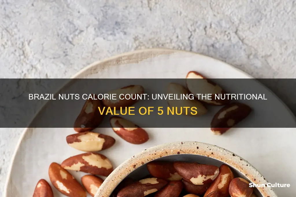 how many calories in 5 brazil nuts