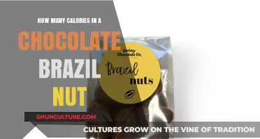Chocolate Brazil Nut Calories: A Nutritional Breakdown and Health Insights